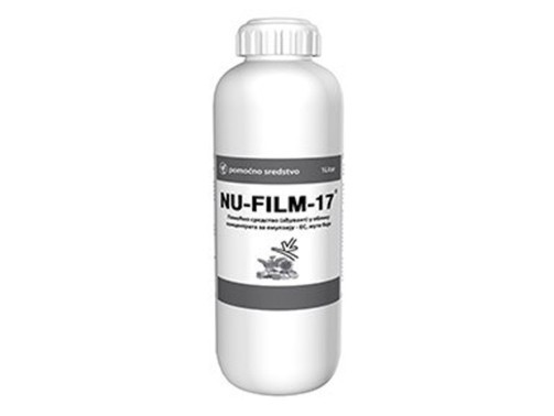 NU FILM 17 1 lit